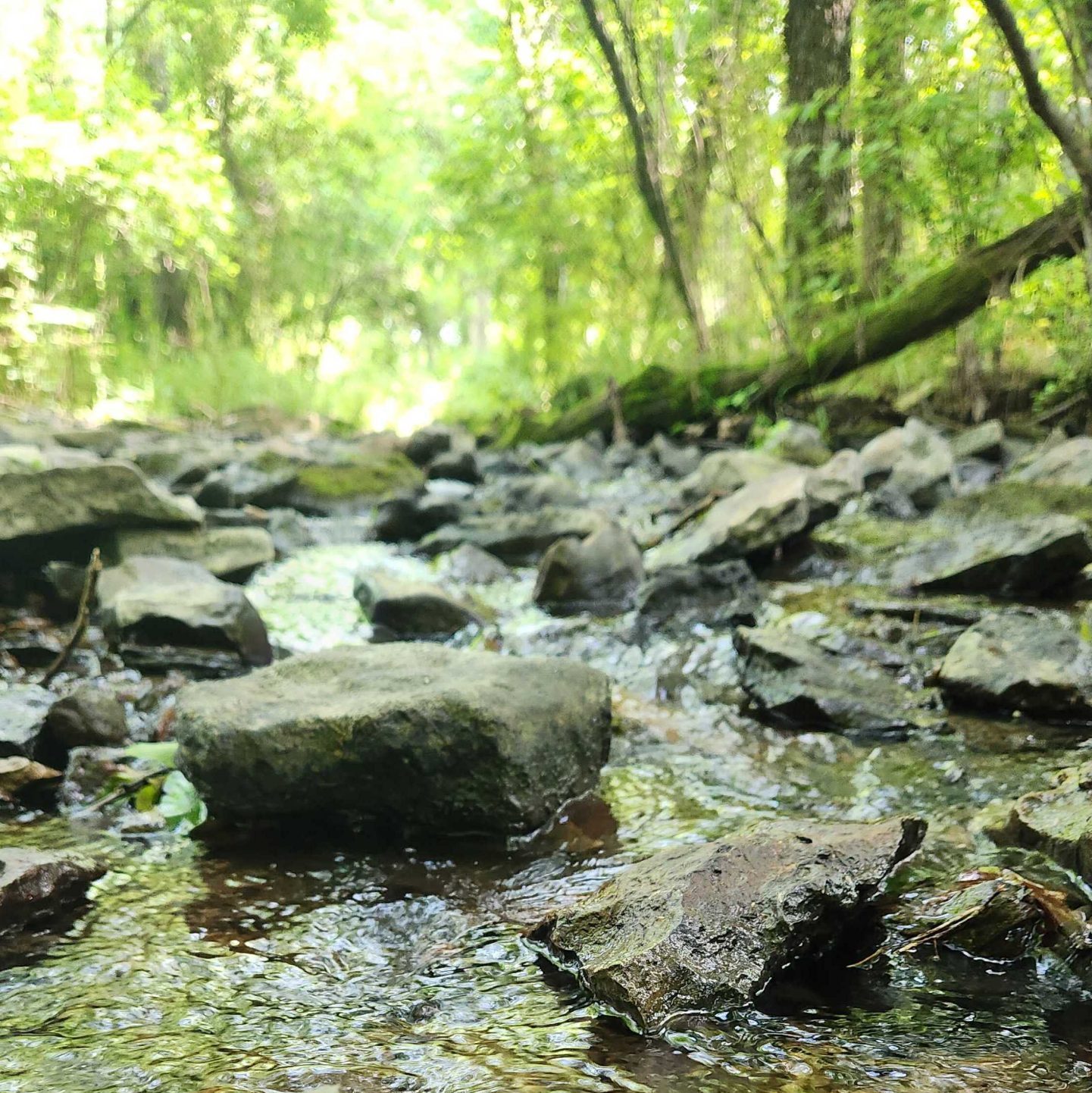 Regulatory Guidance & Support - WQECTN